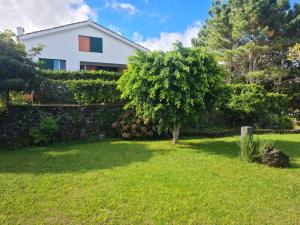 Zahrada ubytování StoneWood Lodge AL