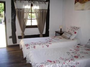 Gallery image of Gîte équestre Marina in Mimizan