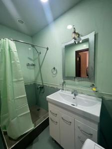 a bathroom with a sink and a shower and a mirror at Byuzand 7 in Yerevan