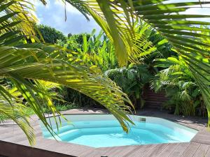a small swimming pool with palm trees around it at Les Gîtes de Bergette in Petit-Bourg