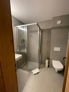 een badkamer met douche en toilet bij Dependance Central in Ischgl +17 foto's