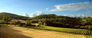a large field with a house and a vineyard at Abbadia Wine Relais in Montefollonico +82 photos