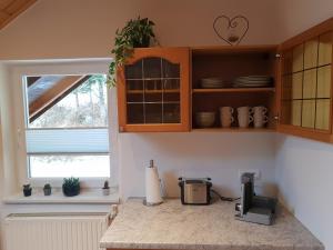 A kitchen or kitchenette at Alpenloft Theresia