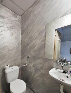 a bathroom with a toilet and a sink at Casa Thomas Cluj in Cluj-Napoca