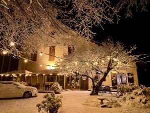 a house with a tree covered in snow at night at La Source in Saint-Pierre-dʼArgençon