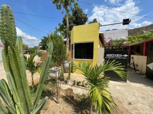 a yellow building with a bunch of cactuses in a yard at Quitinete da Nicole in Canindé de São Francisco