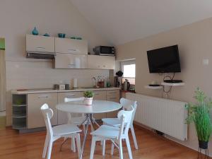 Kuchyň nebo kuchyňský kout v ubytování Apartament Alias + 37 fotografií