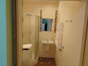 Koupelna v ubytování Apartament Alias