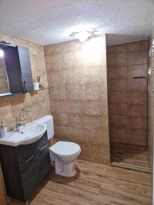 La salle de bains est pourvue de toilettes, d'un lavabo et d'une douche. dans l'établissement Kispatak Vendégház, à Ciumani