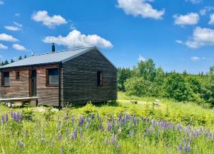 Cabaña de madera en un campo con flores púrpuras en Chata Lesní, en Klíny