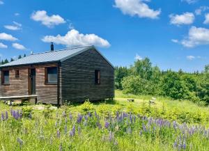 a wooden cabin in a field with purple flowers at Chata Lesní in Klíny
