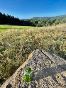 eine Glasflasche auf einem Felsen in der Unterkunft Chata Luční in Klíny