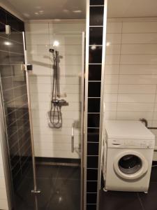 a bathroom with a washing machine and a shower at Apartament 2 in Havøysund