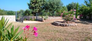 A garden outside Trullo la perla di pietra