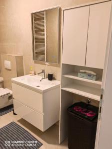 a bathroom with a sink and a mirror at Millennium apartment in Zagreb