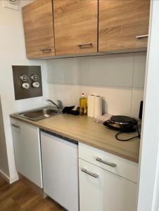 uma cozinha com um lavatório e uma bancada em Kölner City Apartment direkt am Zentrum Nähe Hbf em Colônia