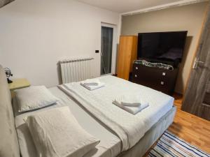 a bedroom with two beds and a flat screen tv at Alissa House in Borsa