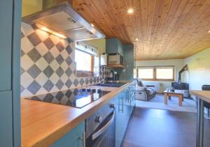 a kitchen with blue cabinets and a wooden ceiling at Lovers' Lodge in Llandegley
