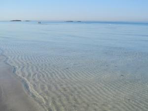 トッレ・サン・ジョヴァンニ・ウジェントにあるVivere nel Salentoの砂浜と水の波紋のある浜
