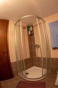 a shower with a glass door in a bathroom at Το σπίτι στο αγρόκτημα in Droserón