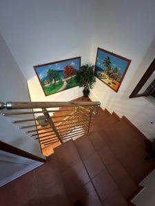 eine Treppe mit Gemälden an der Wand und einer Pflanze in der Unterkunft Casale degli ulivi in Arezzo