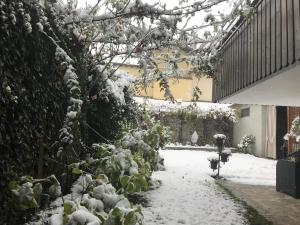 een met sneeuw bedekte tuin met een boom en een parasol bij Casa Galèt in Tirano
