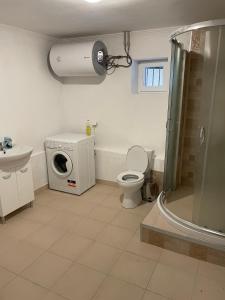 een badkamer met een douche, een toilet en een wasmachine bij Lipite Guest House 