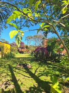 ogród z zieloną trawą, drzewami i roślinami w obiekcie Cabaña de Alejandro w mieście La Paloma