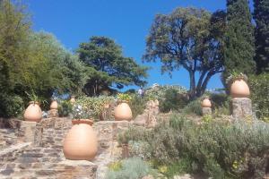 Κήπος έξω από το Studio 4 pers coeur du Lavandou