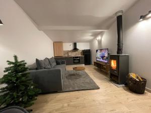 een woonkamer met een bank en een televisie en een kerstboom bij Biutiful Bungalow in Vişeu de Sus