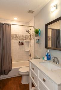 W łazience znajduje się umywalka, toaleta i prysznic. w obiekcie Jacksonville Newly Renovated Stylish 3BR Downtown w mieście Jacksonville