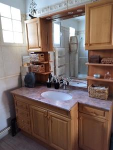 baño con lavabo y espejo grande en The doudou's house, en La Queue-lès-Yvelines