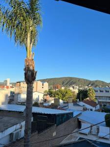 卡洛斯帕斯的住宿－Duplex Villa Carlos Paz，城市中心的棕榈树