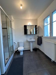 uma casa de banho com um WC, um lavatório e um chuveiro em Grand studio cozy lumineux em Villabé