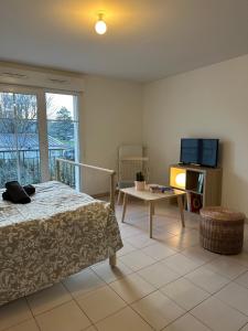 um quarto com uma cama, uma mesa e uma televisão em Grand studio cozy lumineux em Villabé