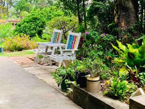 zwei Stühle nebeneinander in einem Garten in der Unterkunft Tequila Sunset in Yamba + 9 Fotos