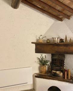 une étagère avec des pots et des plantes au-dessus d'une cheminée dans l'établissement Berenice in Chianti, à Bagno a Ripoli