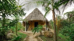 a small hut in a jungle with palm trees at Masaya San Agustin in San Agustín