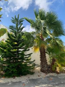 Zahrada ubytování Duplex luxe au NBBC , les pieds dans le sable