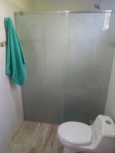 a bathroom with a toilet and a shower with a green towel at Hostal Mi Elvirula in Santa Marta