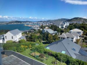 arial view of houses in a residential neighborhood at Khandallah Harbour View BnB in Wellington