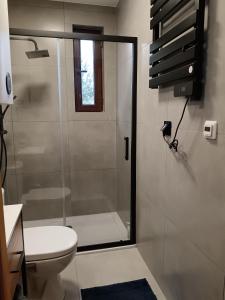 ein Badezimmer mit Dusche und Toilette in der Unterkunft Raj nad Narwią in Zatory + 8 Fotos