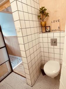 uma casa de banho com um WC e uma cabina de duche ao nível do chão em The Maiden Studio. Derry city. Studio Apartment. em Derry Londonderry