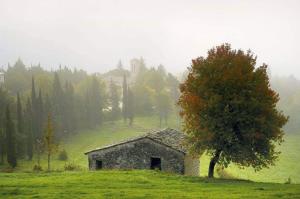 ein altes Steingebäude auf einem Feld mit einem Baum in der Unterkunft Casa Fiore in Cerreto di Spoleto