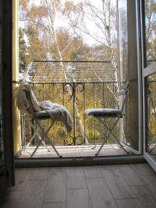 un par de sillas en un balcón con ventana en Apartament Hel Zacisze, en Hel