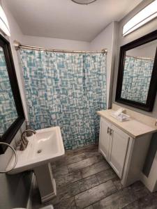La salle de bains est pourvue d'un lavabo et d'une douche. dans l'établissement Blue Shark *H12* @ River Oaks Modern 1BR King Apartment, à Houston