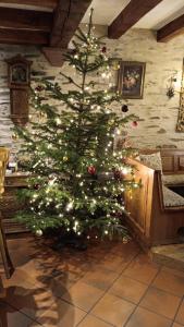 a christmas tree with lights in a room at Hotel Landgasthof Simon in Waldrach