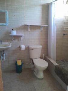 ein Bad mit einem WC und einem Waschbecken in der Unterkunft Mountain View Apartments #10 in Glanvillia