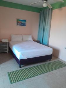 ein Schlafzimmer mit einem Bett und einem blauen Vorhang in der Unterkunft Mountain View Apartments #10 in Glanvillia