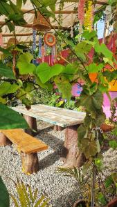 un banco de madera en un jardín con plantas en La Casona Espacio Bonito, en Zapatoca